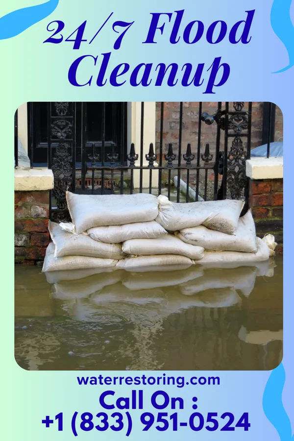 24/7 Flood Cleanup in Watseka, IL
