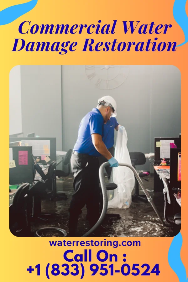 Commercial Water Damage Restoration in Watseka, IL