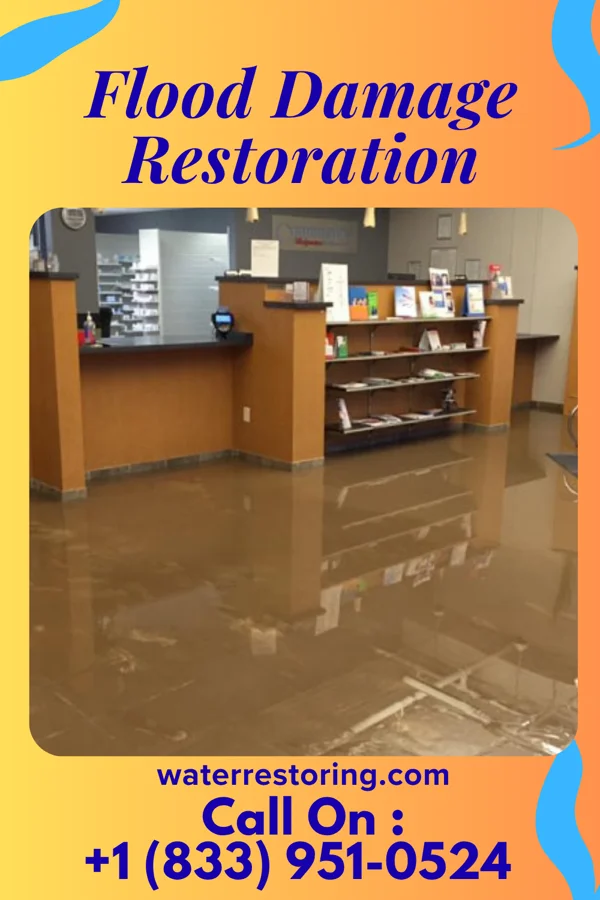 Flood Damage Restoration in Watseka, IL