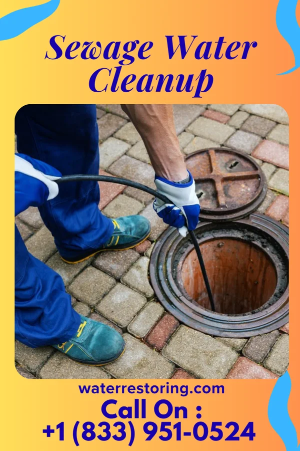 Sewage Water Cleanup in Watseka, IL